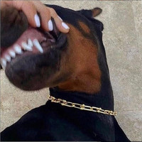 Harlem - Meksikalı Çocuk