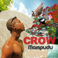 Crow - Mampudu