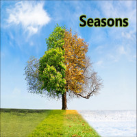 Andy Harding - Seasons