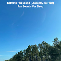 Fan Sounds For Sleep - Calming Fan Sound