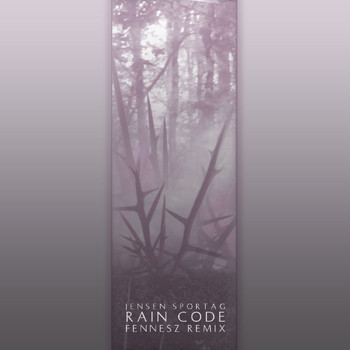 Jensen Sportag - Rain Code (Fennesz Remix)