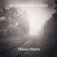 Mikael Wiehe - Det finns nåt vitare