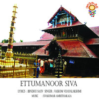 Vaikom Vijayalakshmi - Ettumanoor Siva - Single