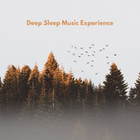 Sleeping Music, Deep Sleep Meditation, Deep Sleep Music Experience - Deep Sleep Music Experience