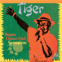 Tiger - Reggae Dance Hall Sensation