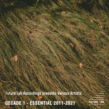 Various Artists - Decade 1 - Essential 2011-2021