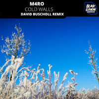 M4RO - Cold Walls (David Buscholl Remix)
