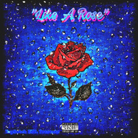 Ire - Like A Rose (Explicit)