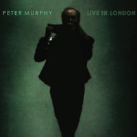 Peter Murphy - Peter Murphy Live In London