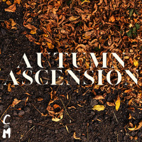Chris Martin - Autumn Ascension