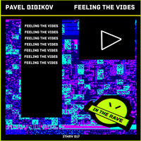 Pavel Bibikov - Feeling The Vibes