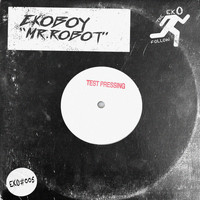 Ekoboy - Mr. Robot