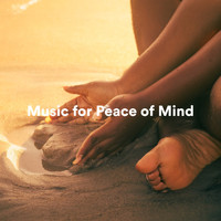 Spa Music & Meditation Collective, Amazing Spa Music, Spa Music Relaxation - Music for Peace of Mind