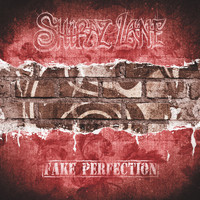 Shiraz Lane - Fake Perfection