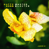Natty Bong - Master Blaster (Jammin')