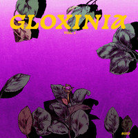 Sho - Gloxinia, Vol. 1 (Explicit)