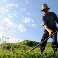 Kristiana - CE RAU AM FACUT LA LUME
