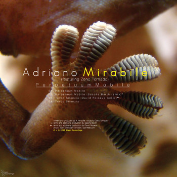 Adriano Mirabile - Perpetuum Mobile