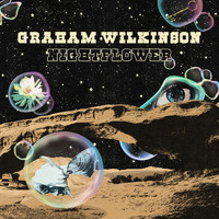 Graham Wilkinson - Nightflower