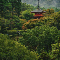 Kyoshi - shrine