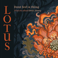 Lotus - Don't Feel a Thing