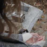Ptarmigan - Rounder