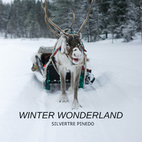 Silvertre Pinedo - Winter Wonderland