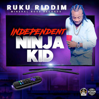 Ninja Kid - Independent