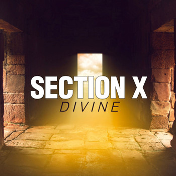Section X - Divine
