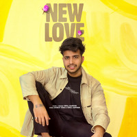 Vipul Kapoor - New Love
