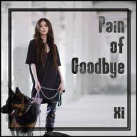 Xi - Pain of Goodbye (Explicit)