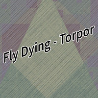 Fly Dying - Torpor