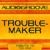Audiogroove - Troublemaker