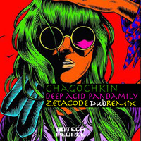 Chagochkin - Deep Acid Pandamily (Zetacode Dub Remix)
