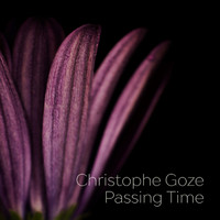 Christophe Goze - Passing Time