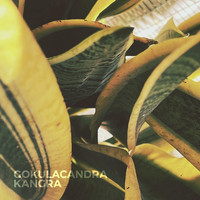 Gokulacandra - Kangra