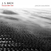 Jürgen Saalmann - Prelude in D minor BWV 999