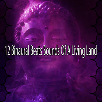Binaural Beats Sleep - 12 Binaural Beats Sounds Of A Living Land