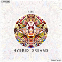 Seek - HYBRID DREAMS