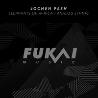Jochen Pash - Elephants of Africa / Analog Ethnic (Explicit)