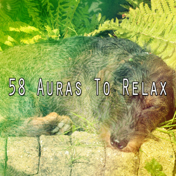 Deep Sleep Relaxation - 58 Auras To Relax