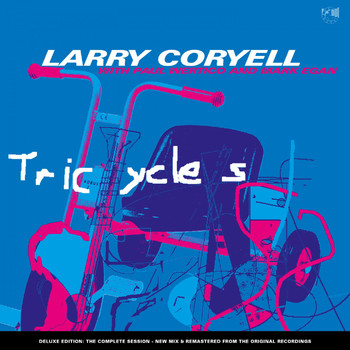 Larry Coryell - Rhapsody and Blues
