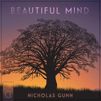 Nicholas Gunn - Beautiful Mind