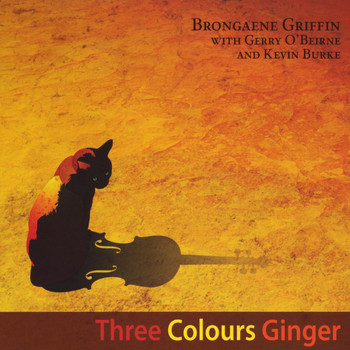 Brongaene Griffin - Three Colours Ginger