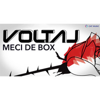 Voltaj - Meci de box