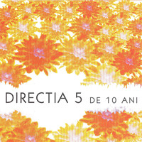 Directia 5 - De 10 ani vol. 1