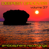 Various Artists - Deepest Grooves, Vol. 37