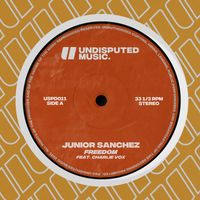 Junior Sanchez - Freedom (feat. Charlie Vox)