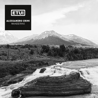 Alessandro Crimi - Wandering
