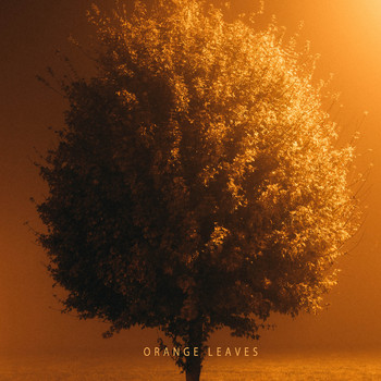 Pad - Orange Leaves